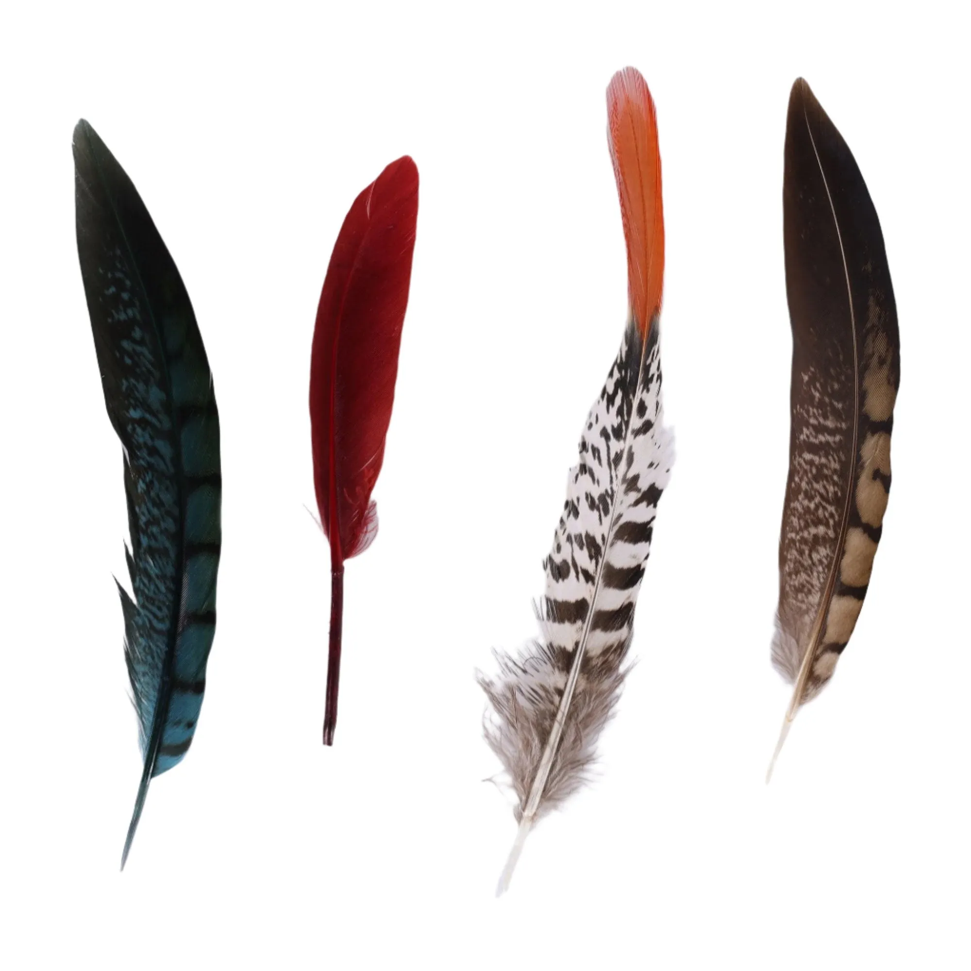 DapperFam Hat Feathers Pack of 3 Millinery Feathers